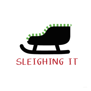 Team Page: Sleighing It 